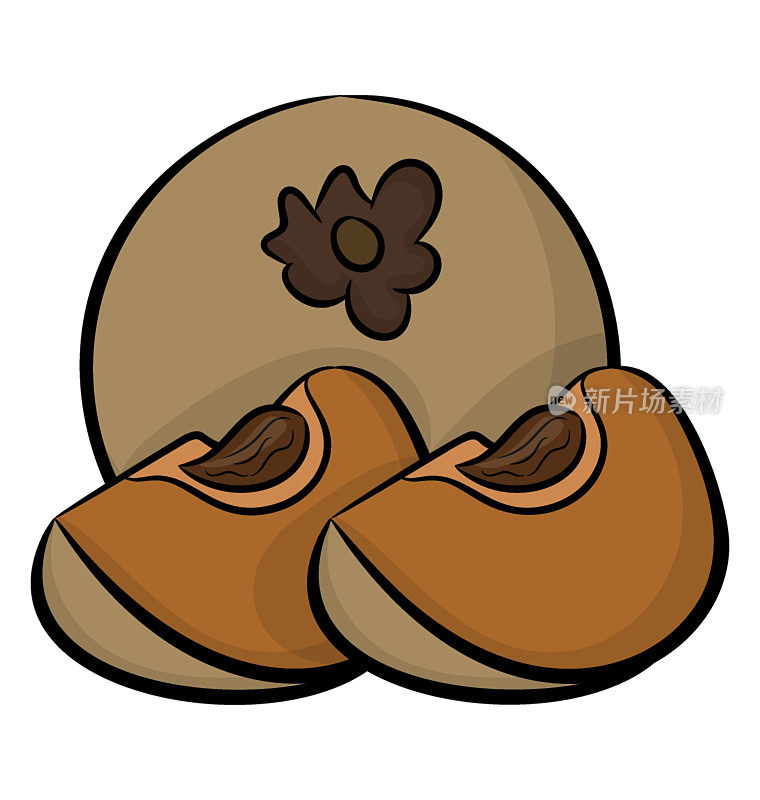 Healthy fruit, sapodilla icon